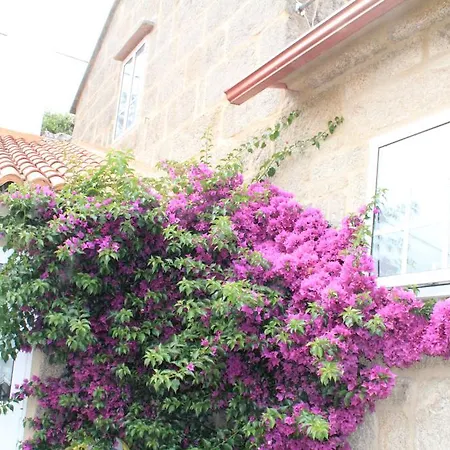 Luxbon Galiza Charm House